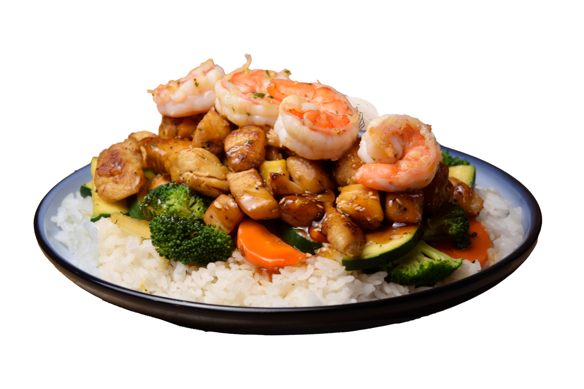 Teriyaki Especial